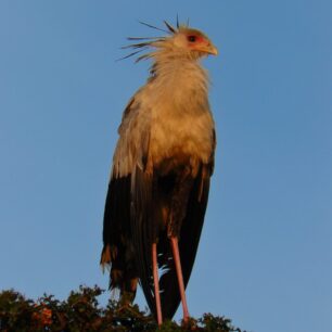 p1010493-2.jpg