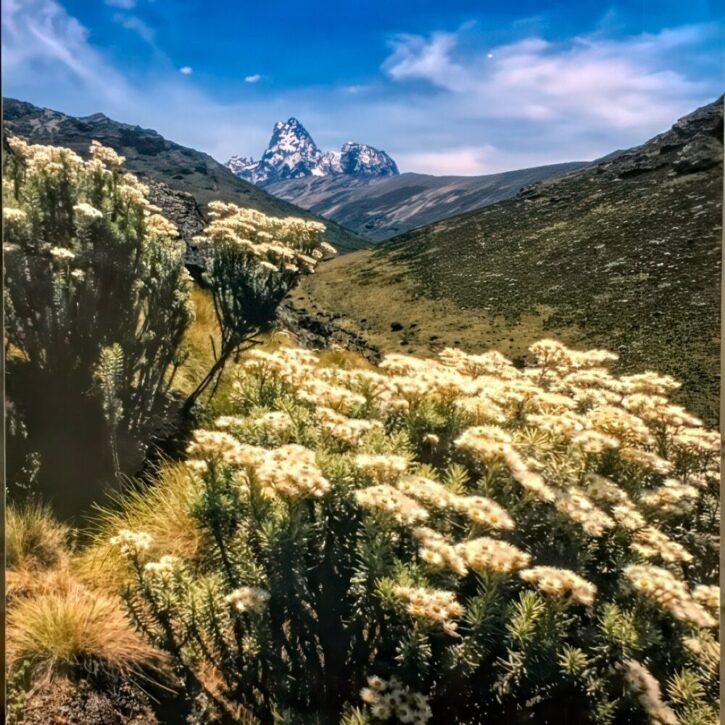 Sirimon route up Mt Kenya