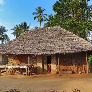 Typical Swahili makuti house at the south coast Kenya