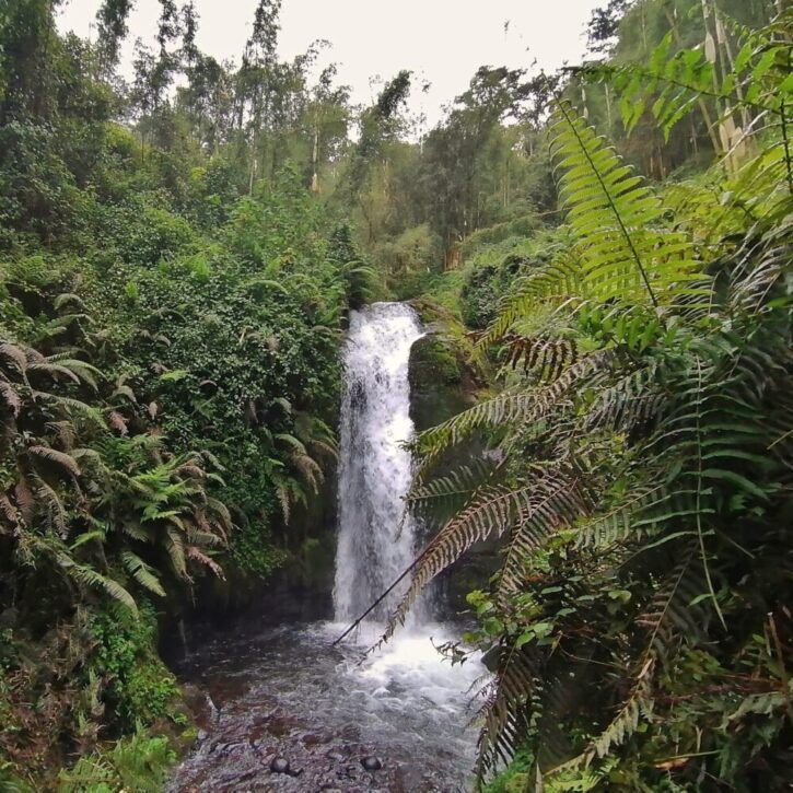 Manguyo falls in the Aberdares