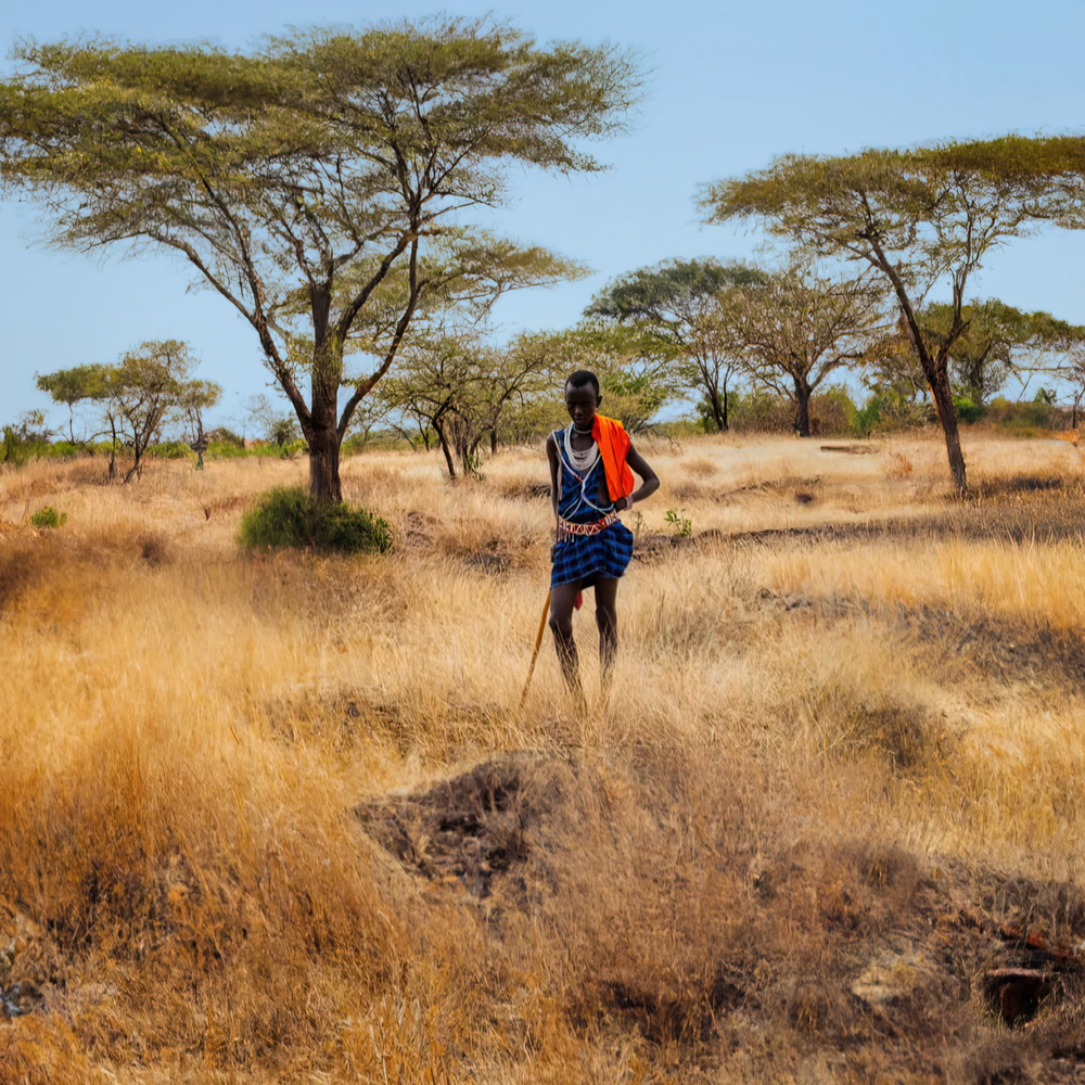 Maasai boy on the savanna
