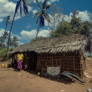 A traditional house on the Kenyan south coast is built of a simple tree skeleton with mid to fill in the walls and, lastly, a makuti roof.