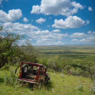 Rhino Charge