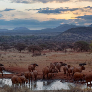 Tsavo West Kilauni