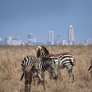 Nairobi as a backdrop