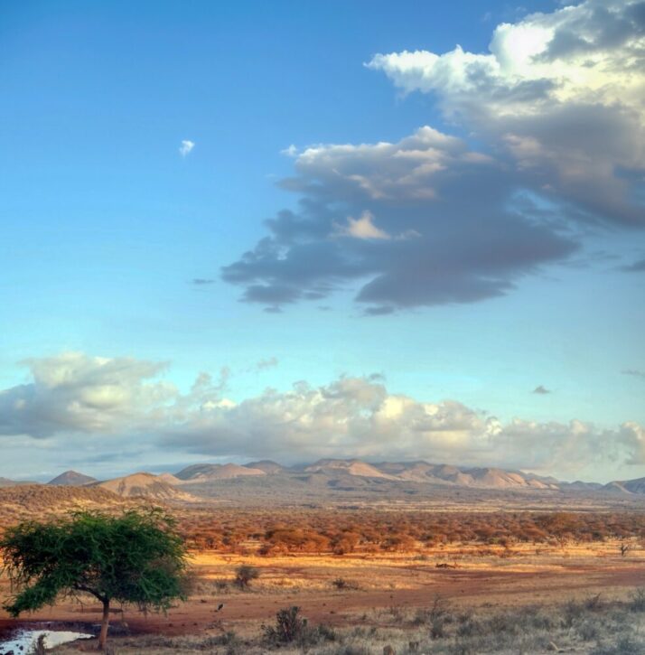 Splendid vista over the semi desert landscape of Tsavo West