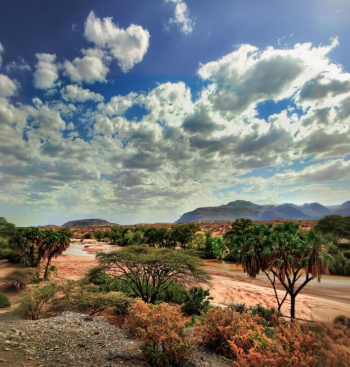 Ewaso Ngiro river